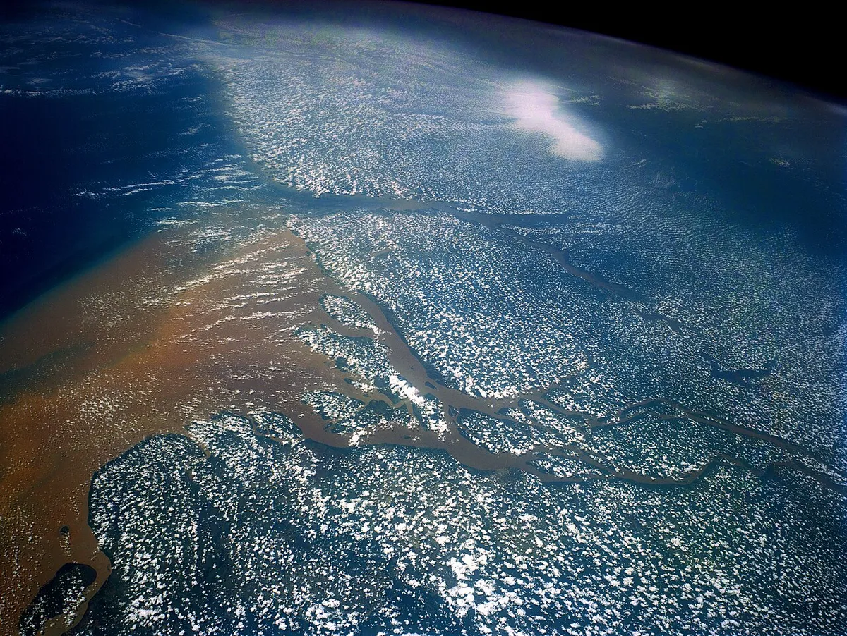 亚马逊河三角洲实景图