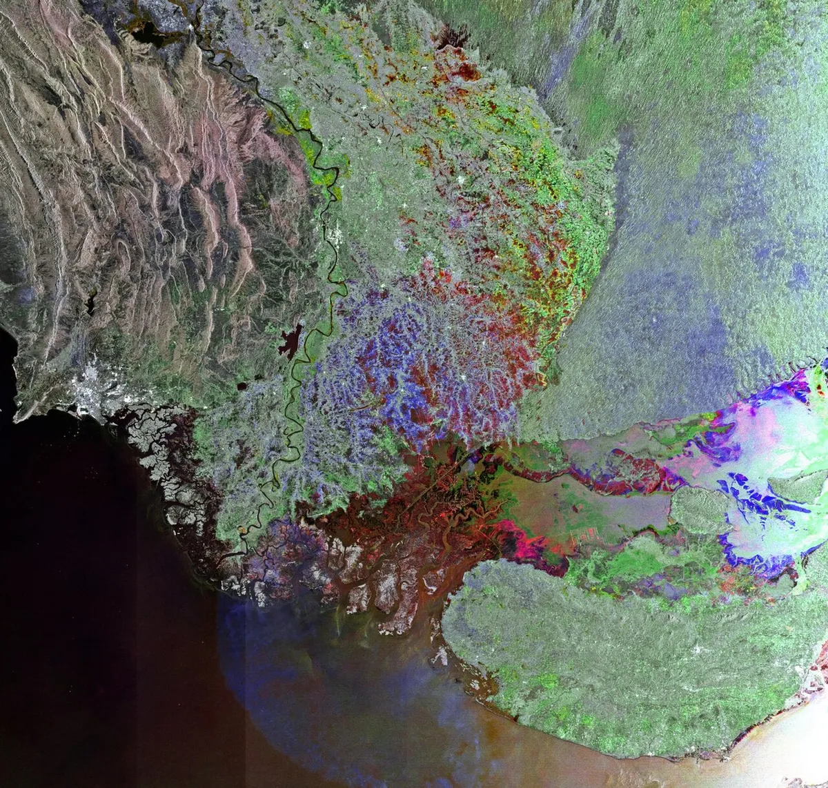 印度河三角洲实景图