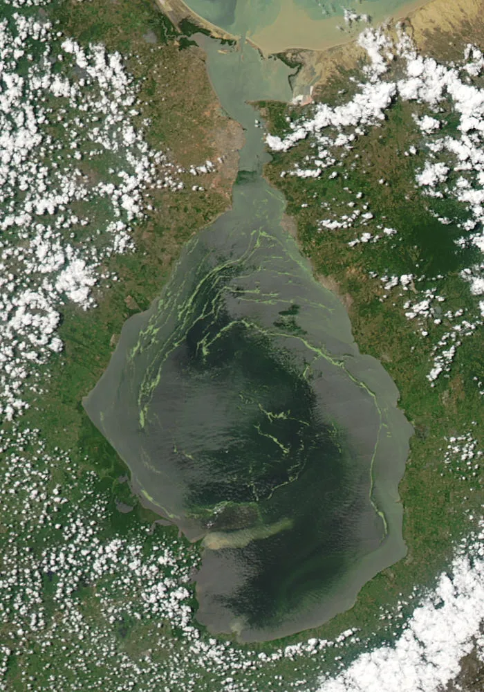 马拉开波湖实景图