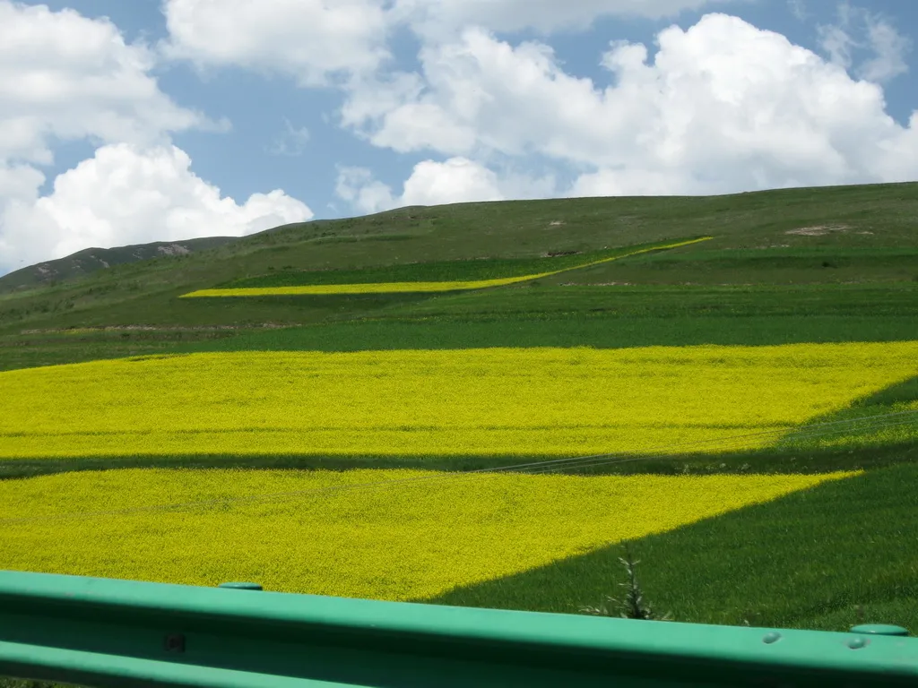 青藏高原实景图