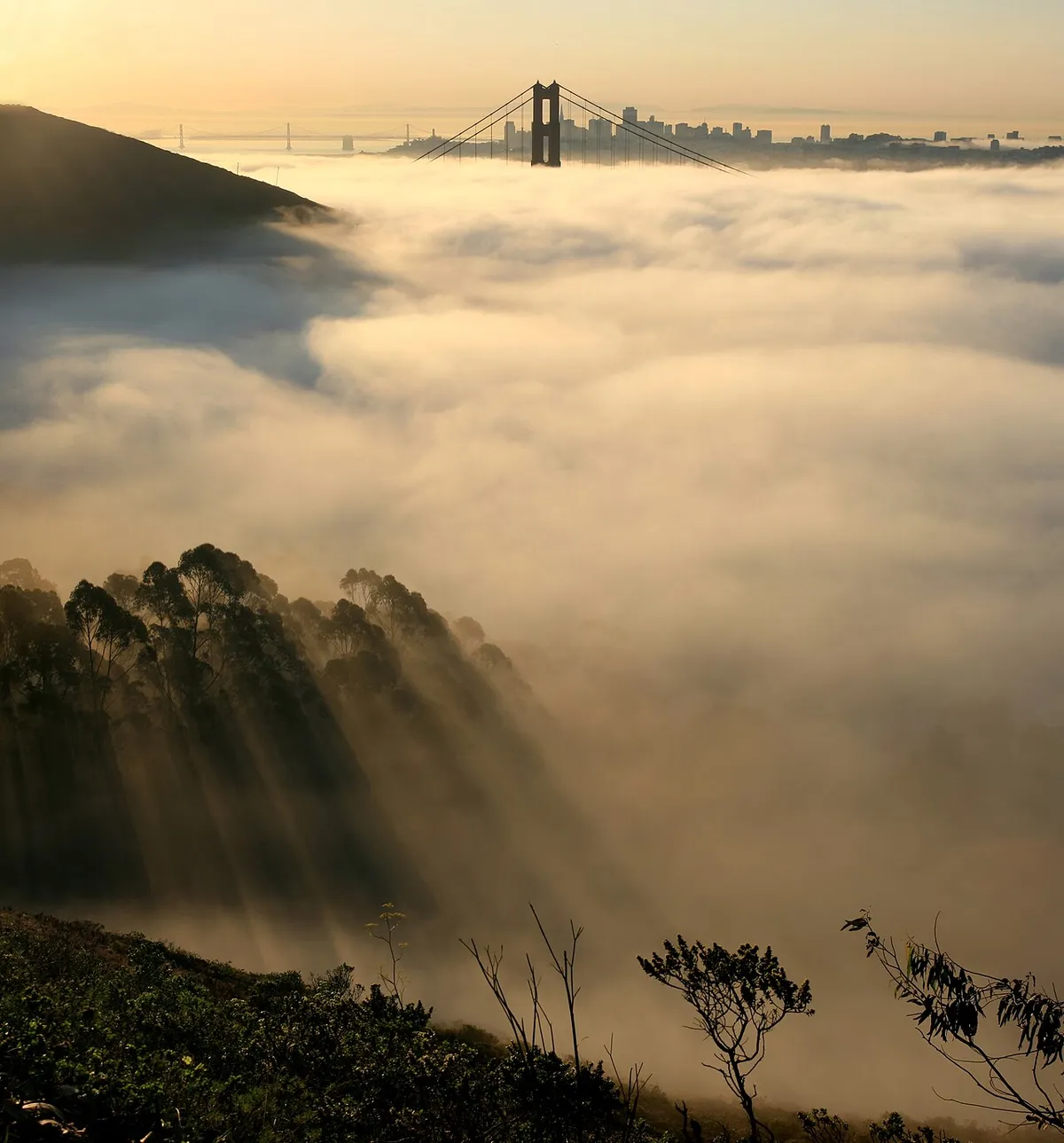 旧金山湾实景图