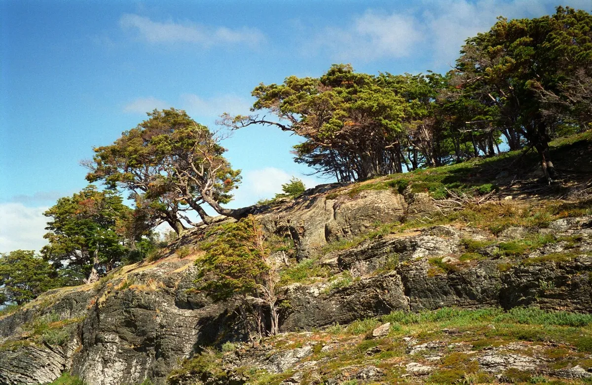 火地岛实景图
